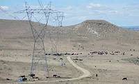 USDA-ARS scientist researches enlisting cattle to create firebreaks