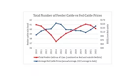 NAMI: 'Cattle prices at record highs; Grassley-Fischer, special investigator bills costly'