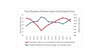 NAMI: 'Cattle prices at record highs; Grassley-Fischer, special investigator bills costly'