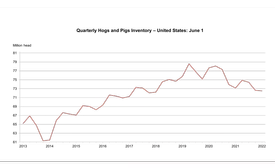 U.S. hog inventory decreases 1% compared to previous year