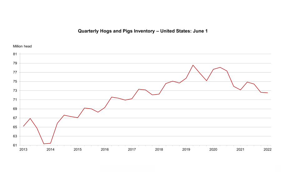 U.S. hog inventory decreases 1% compared to previous year