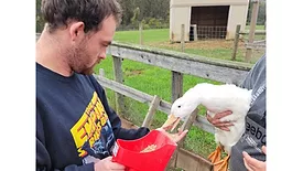 Perdue Foundation Grant supports new educational duck pond at farm for people with developmental disabilities