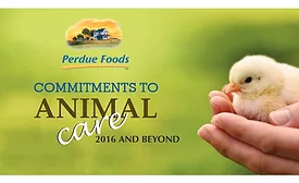 perdue animal care news