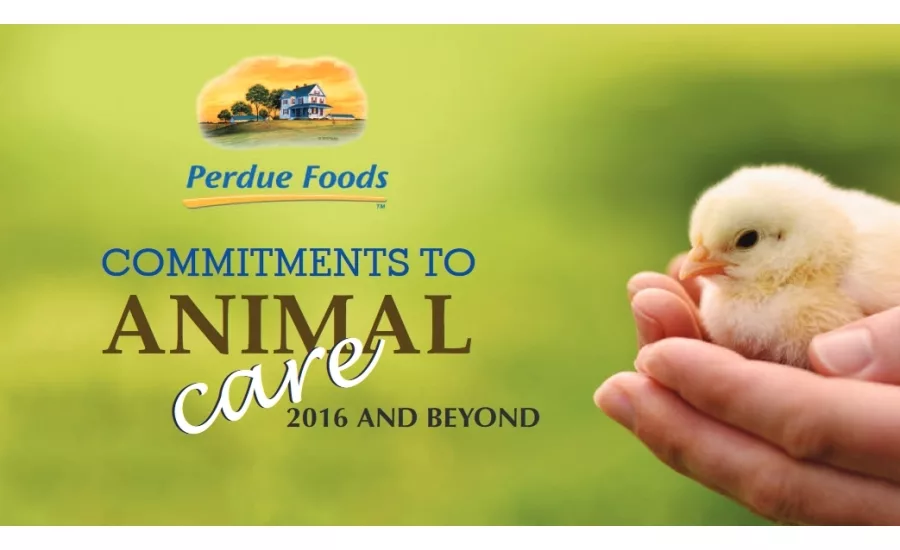 perdue animal care news