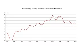 U.S. hog inventory down 1%