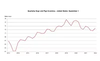 U.S. hog inventory down 1%