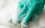 Proper sanitation in meat and poultry plants is crucial for reducing bacterial threats