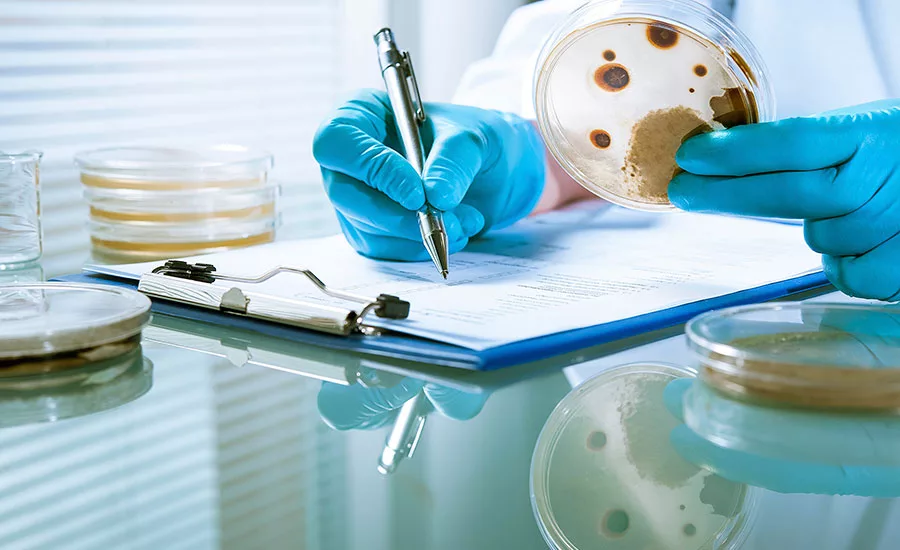 More companies are increasing testing for Listeria in the food-processing environment and in finished products, which has led to more frequent detection