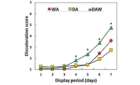 Discoloration scores of steaks from beef loins assigned to different aging types
