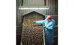 A SugarCreek employee checks fully cooked meatballs on one of the cook lines