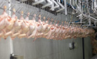 Poultry carcasses