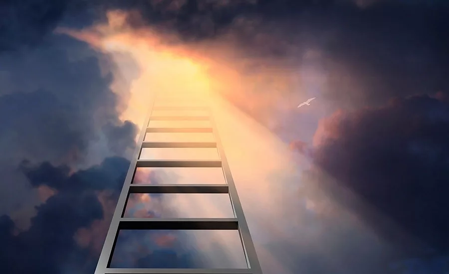 Chubs are moving up the innovation ladder