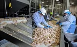 West Liberty Foods was able to create a new processing line to produce frozen chicken wings at the Bolingbrook facility