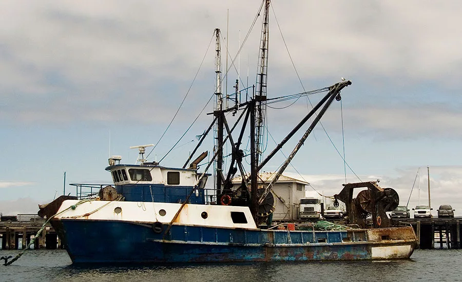 Consumers seek premium fish, and may think that wild-caught or American-caught fish are higher quality
