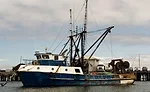 Consumers seek premium fish, and may think that wild-caught or American-caught fish are higher quality