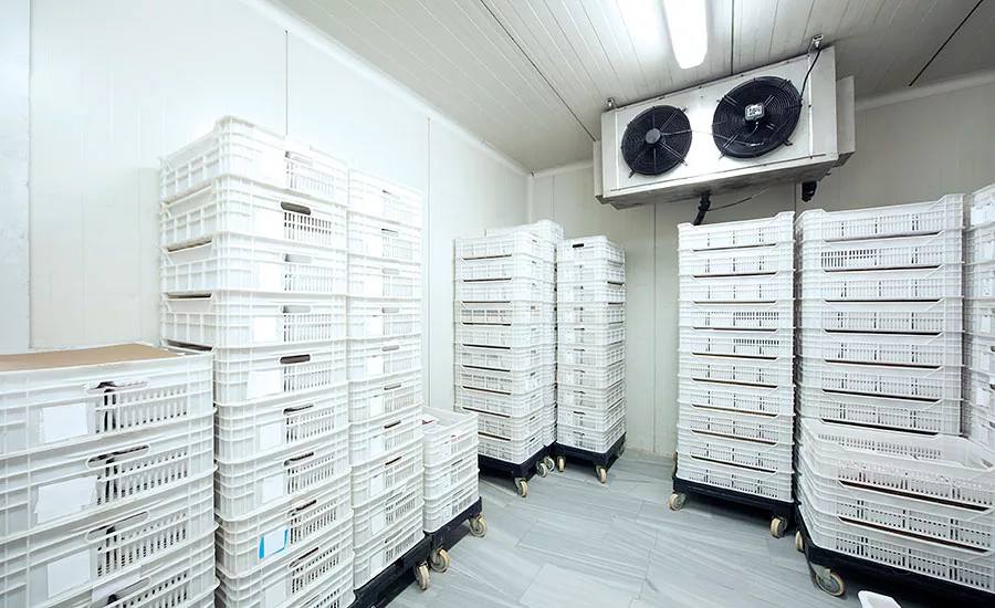Temperature monitoring systems should automatically record temperatures at set intervals and have the ability to send alerts