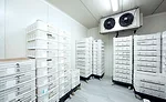 Temperature monitoring systems should automatically record temperatures at set intervals and have the ability to send alerts
