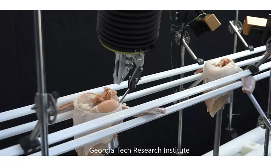 A robotic poultry deboning system developed by Georgia Tech Research Institute