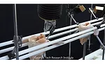 A robotic poultry deboning system developed by Georgia Tech Research Institute