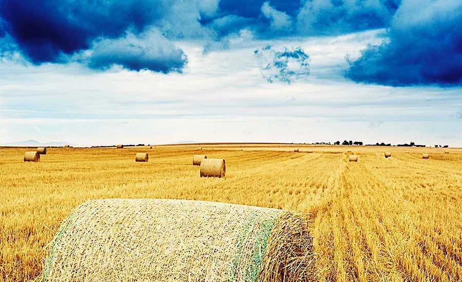 Meat and poultry processors will be expected to produce more protein, but on an environmental footprint similar to what they have now