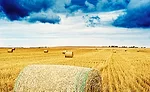 Meat and poultry processors will be expected to produce more protein, but on an environmental footprint similar to what they have now