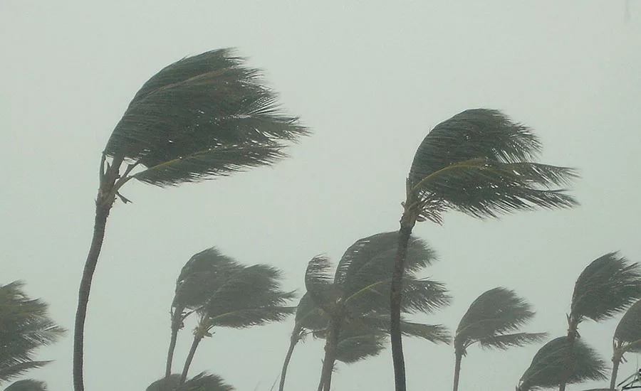 During Hurricane Sandy, inland businesses found that they were vulnerable to a disaster they didn't perceive as likely to happen.