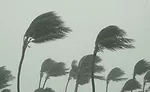 During Hurricane Sandy, inland businesses found that they were vulnerable to a disaster they didn't perceive as likely to happen.