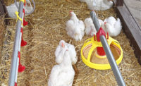 The poultry stunning method called Low Atmospheric Pressure Stunning (LAPS) is gaining support