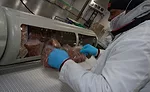 Inside the Universal Pasteurization processing facility
