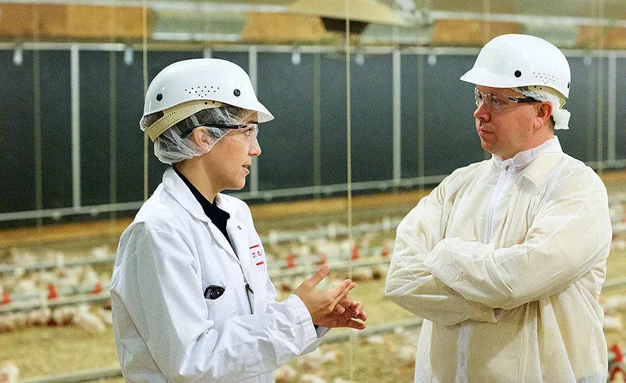 The National Provisioner's Andy Hanacek tours a Foster Farms organic chicken house with Diana Robinson