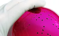 How processors can better the risks from foodborne illness lawsuits