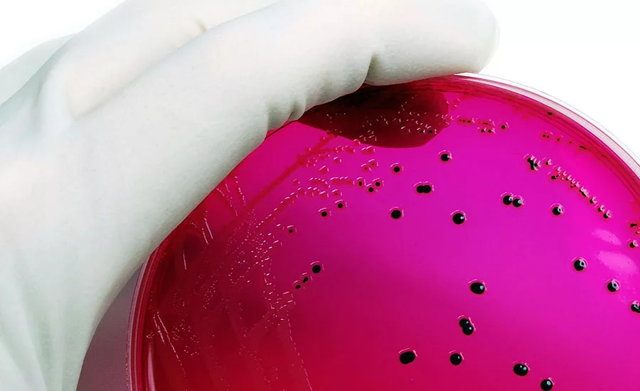 How processors can better the risks from foodborne illness lawsuits