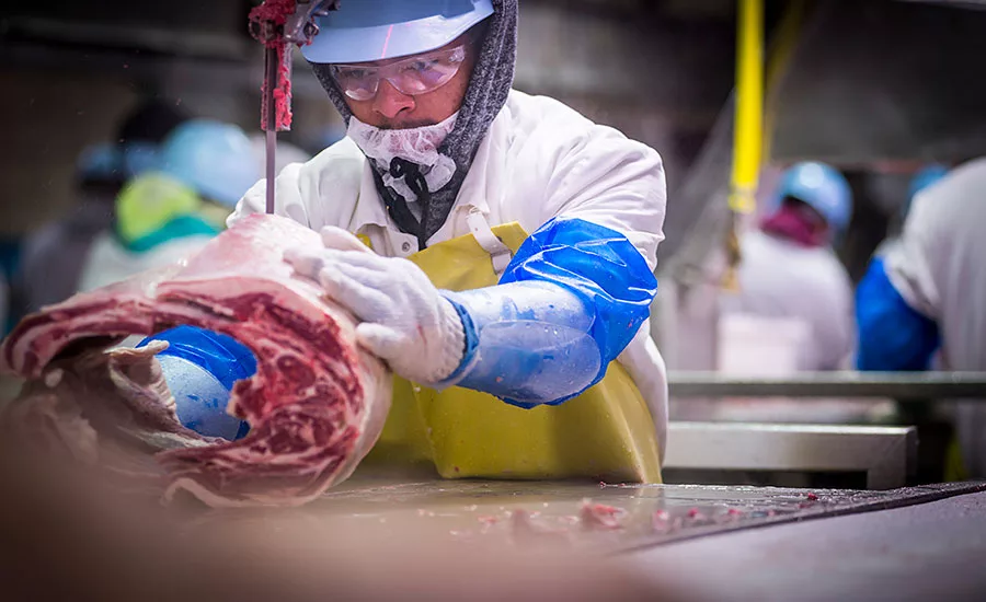 Mountain States Rosen employees break down the lamb carcasses into various cuts on separate lines at the Greeley facility