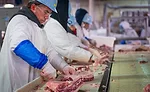 Mountain States Rosen employees break down the lamb carcasses into various cuts on separate lines at the Greeley facility