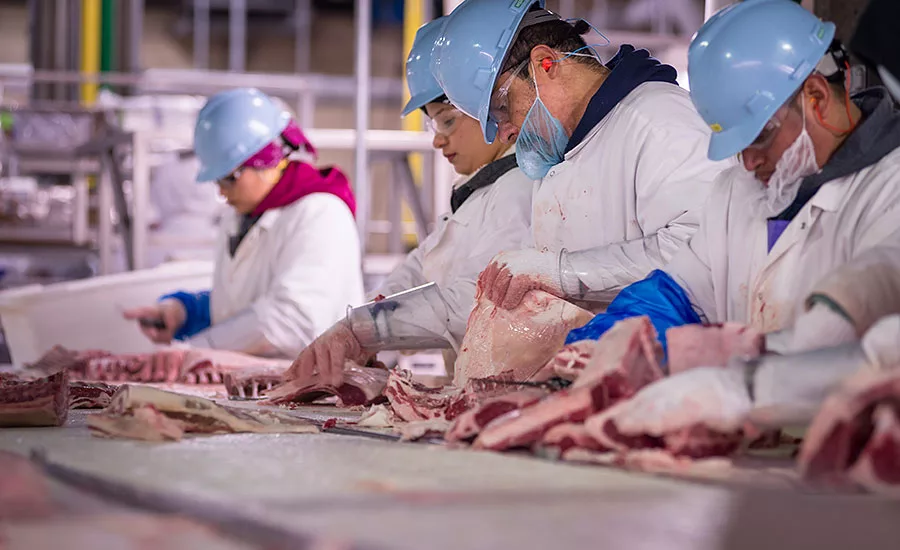 Mountain States Rosen employees break down the lamb carcasses into various cuts on separate lines at the Greeley facility