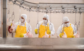 Meat and poultry operators should have guidelines for cleaning and sanitizing workplace apparel
