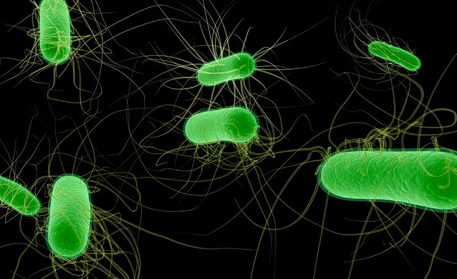 Pathogens