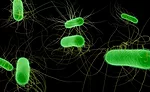 Pathogens