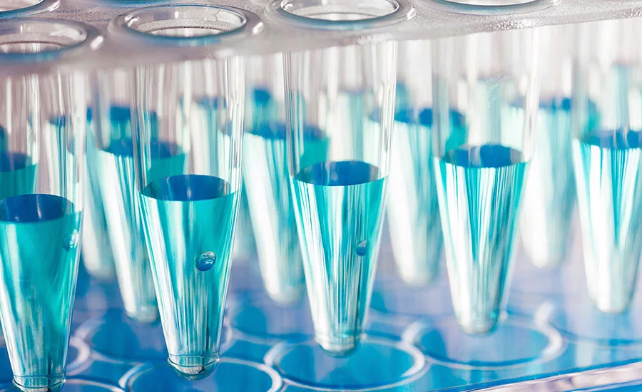 One focus of the Coordinated Agricultural Program (CAP) grant is rapid testing of Shiga toxin-producing Escherichia coli (STEC)