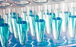 One focus of the Coordinated Agricultural Program (CAP) grant is rapid testing of Shiga toxin-producing Escherichia coli (STEC)