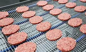 Conveyors and belts are a potential origin of pathogens that trigger foodborne illnesses