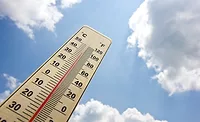 High Temperature High temperatures can result in stress, high mortality rates, and decreased feed intake in birds