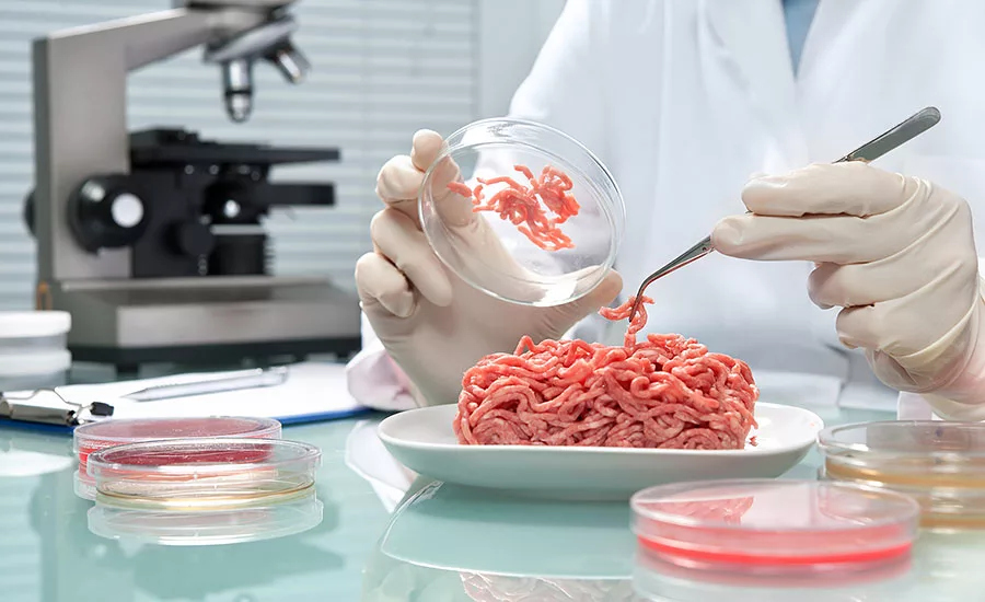 A Food Safety and Quality (FS&Q) professional