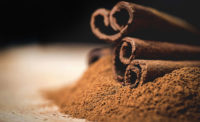 Cinnamon, a plant source of natural antimicrobials