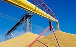 Corn Crop Supply