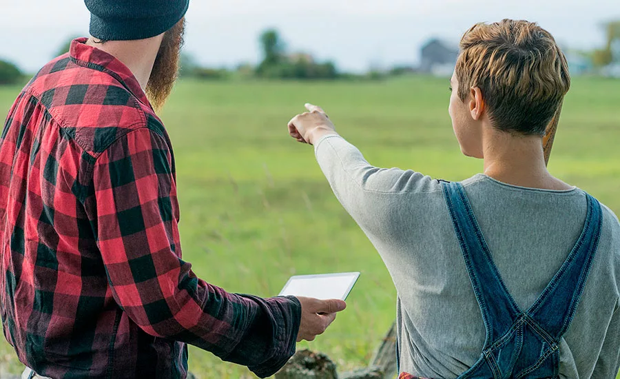 Farmers Look Out Over Crop Field