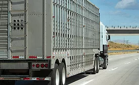 Animal Transport Truck
