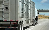 Animal Transport Truck
