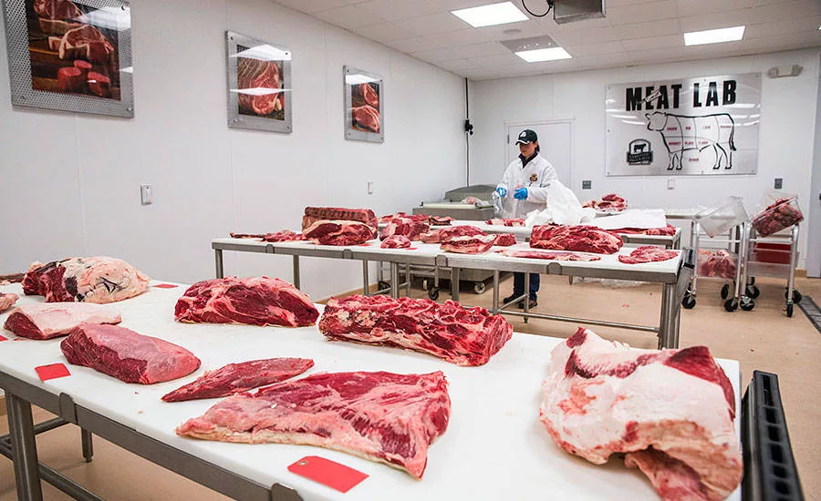 One of the primary concerns of most meat plant design projects is the best use of space within the allowable footprint