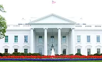 The White House The White House